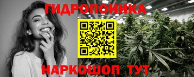 бутират Кингисепп