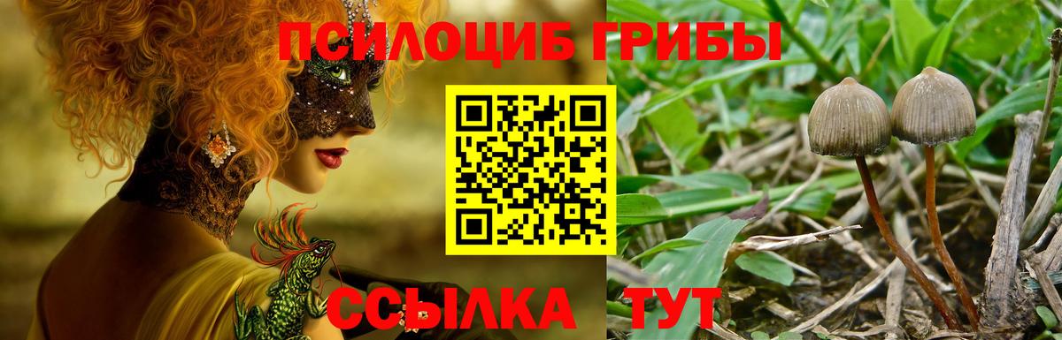 Галлюциногенные грибы мухоморы Кубинка